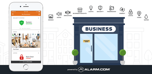 Commercial Security