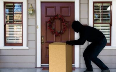 Porch Pirates in the New Year